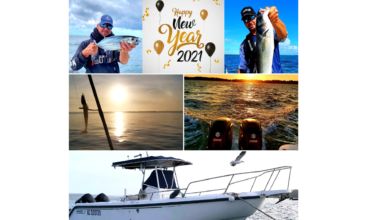 Bilan 2020 : bonne année… Oui mais