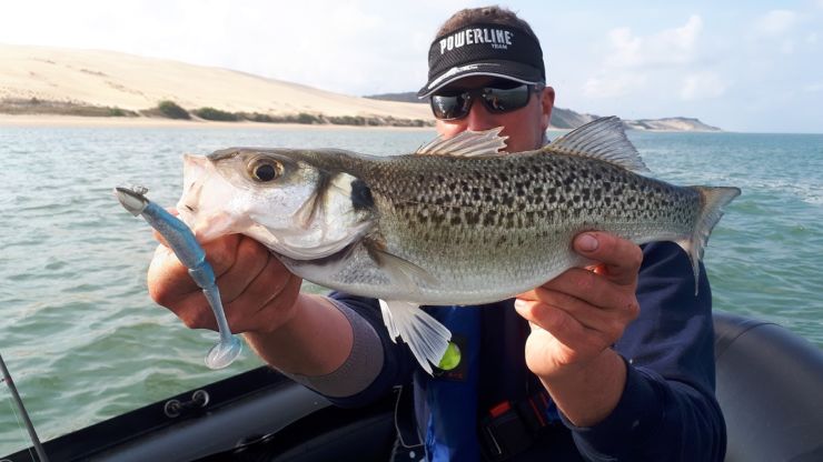 Arcachon, Parentis; Le poisson est actif